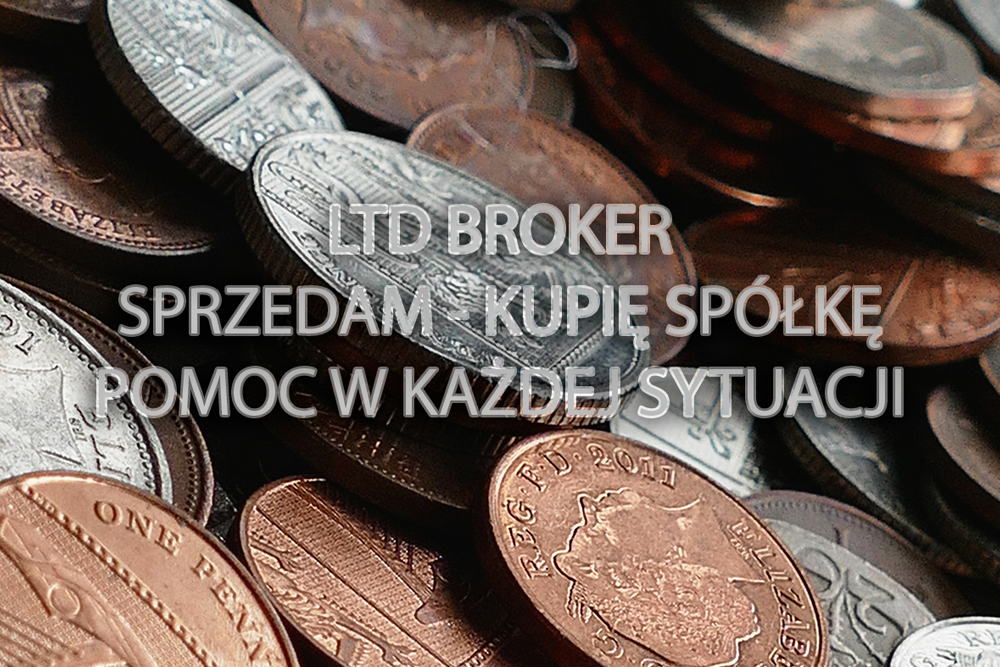Postępowanie upadłościowe